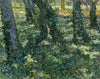 Vincent Van Gogh
