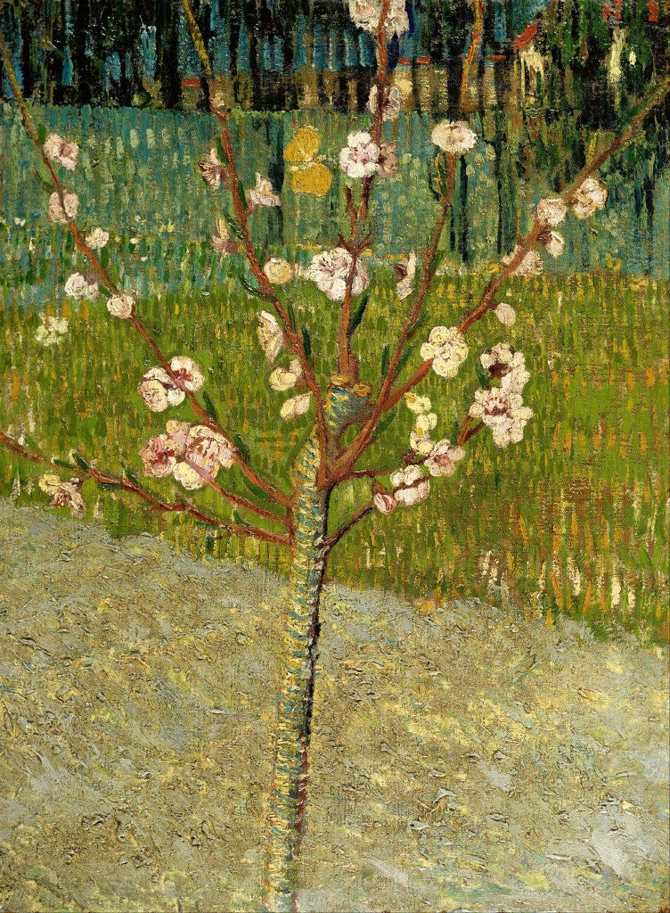 Vincent Van Gogh