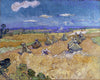 Vincent Van Gogh
