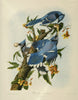 John James Audubon